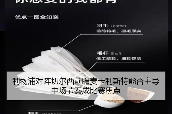 利物浦对阵切尔西前瞻麦卡利斯特能否主导中场节奏成比赛焦点
